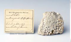 Foto von Aragonit (Erbsenstein) (NHMW-MIN-Ab561)
